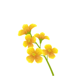 Pollination & Biodiversity